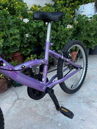 Bicicleta niña 20 morada