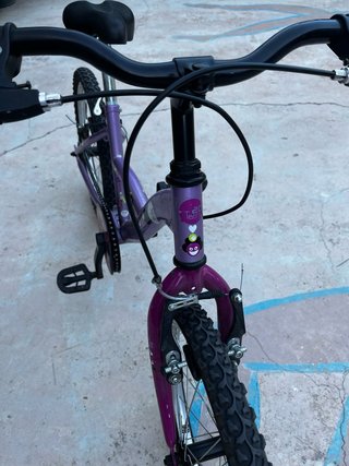 Bicicleta niña 20 morada