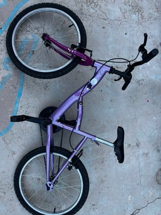 Bicicleta niña 20 morada