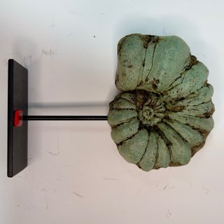 Réplica Amonite Verde