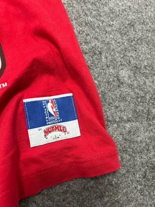 Camiseta Vintage Chicago Bulls Nutmeg Mills L