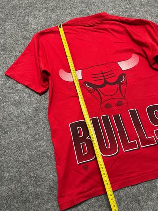 Camiseta Vintage Chicago Bulls Nutmeg Mills L