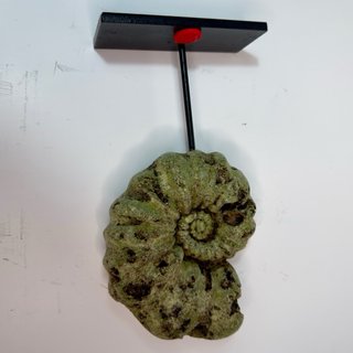 Réplica Amonite Verde