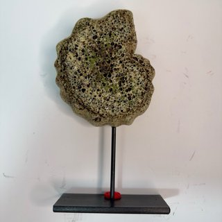 Réplica Amonite Verde