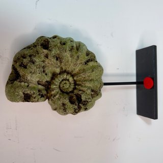 Réplica Amonite Verde