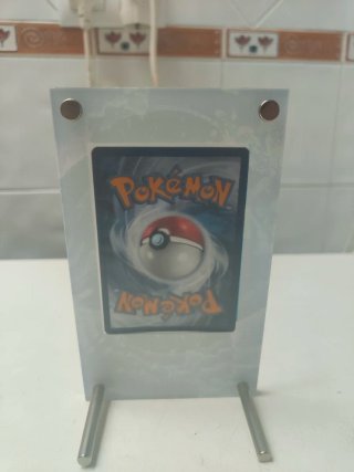 Carta Pokemon | Terapagos EX