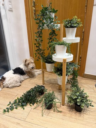 Plantas artificiales IKEA Fejka + Maceta