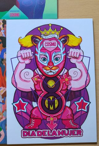Ilustraciones feministas con imanes