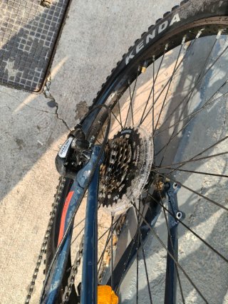 Bicicleta MTB. Orbea 24". Edad 9-14 Años
