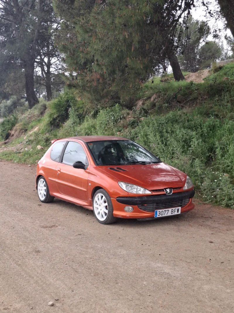 Peugeot 206 2001 - foto 1