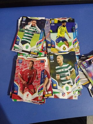 Carte Calciatori Panini