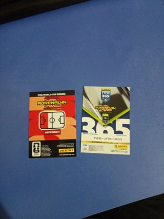 Carte Calciatori Panini