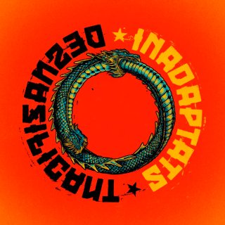 Inadaptats - Desnazificant (LP)