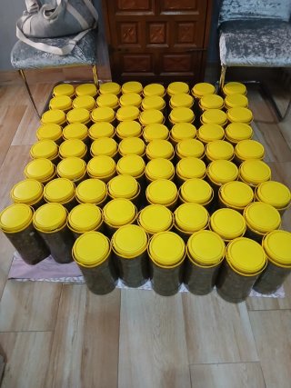 Alcaparrones en conserva