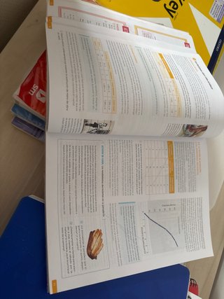 1 Bachillerato, Economía Revuela