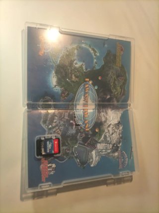 Go Vacation Nintendo Switch