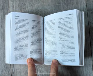 Diccionari pocket Deutsch - Katalanisch ; Catal...