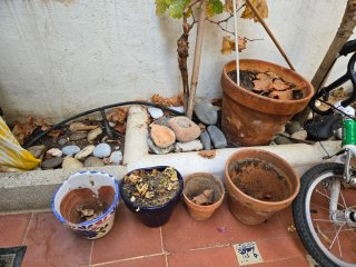 5 Macetas de Barro