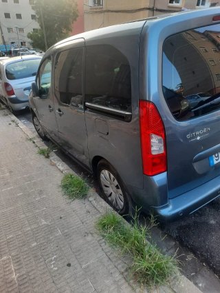 Citroen Berlingo 2010