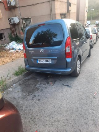 Citroen Berlingo 2010