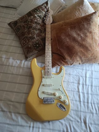Guitarra Stratocaster
