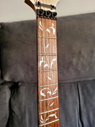 Ibanez Steve Vai Jem Jr