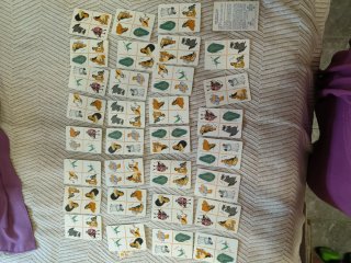Disney Pocahontas Juego Cartas princesa cuento 90s