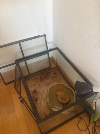 Terrario para tortugas