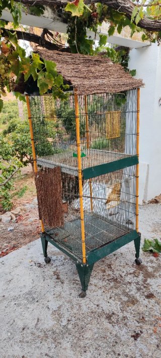 Jaula de pájaros