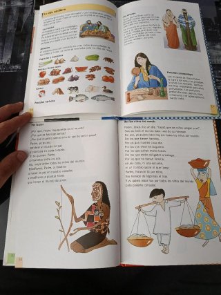 Lote 4 Libros El Libro de Jesus - Primaria SM