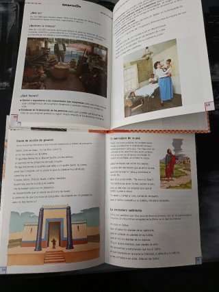 Lote 4 Libros El Libro de Jesus - Primaria SM