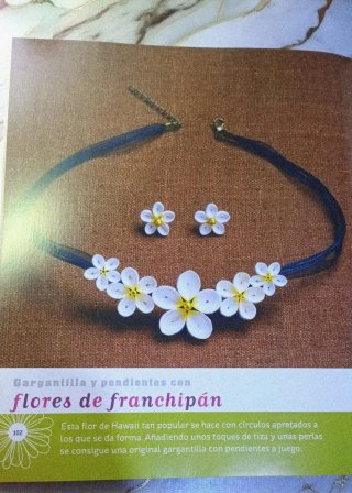Libro  de manualidades