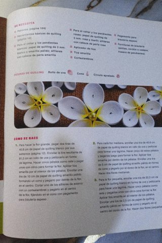 Libro  de manualidades
