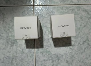 2 EcoFlow Smart Plug EU Nuovi Sigillati