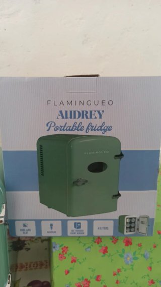 Mini Nevera portátil Flamingueo Audrey 4L