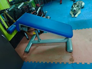 Banco declinado gym