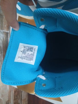 Air Jordan 1 Azul y Blanco