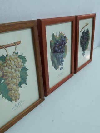 3 Cuadros Uvas