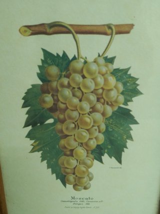 3 Cuadros Uvas