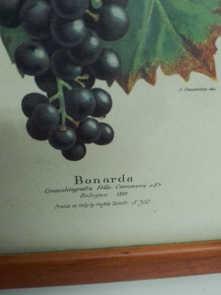 3 Cuadros Uvas