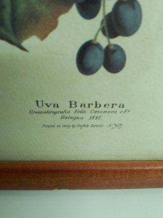 3 Cuadros Uvas