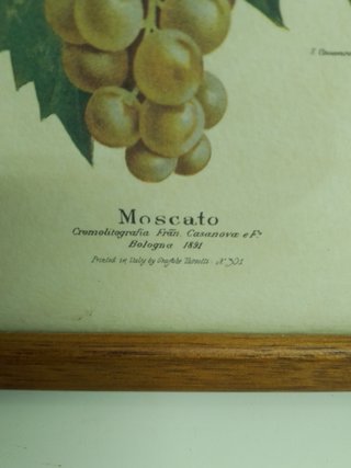 3 Cuadros Uvas