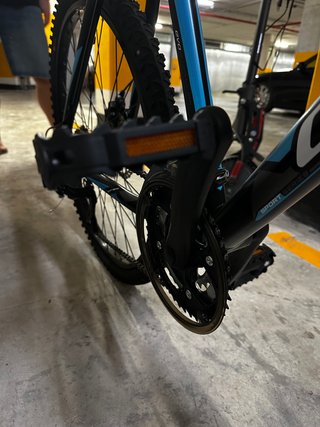 Bicicleta Coluer Acid Talla L