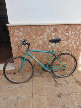 Bicicleta Turquoise 9300