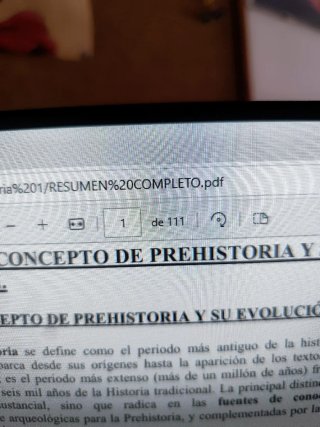Resumen del temario de UNED"Prehistoria I"completo