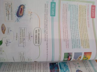 Biología y Geología. 1 Eso. Revuela. Asturias