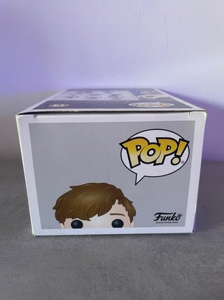 Funko Pop! Newt Scamander Chase 14
