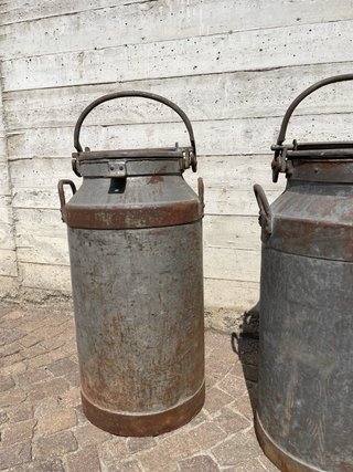 Bidoni latte vintage lamiera industrial anni '50