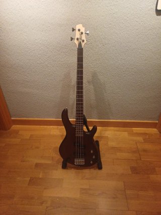 Bajo Cort Action PJ Marrón