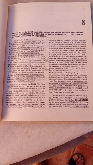 Pack de libros Anatomía Veterinaria